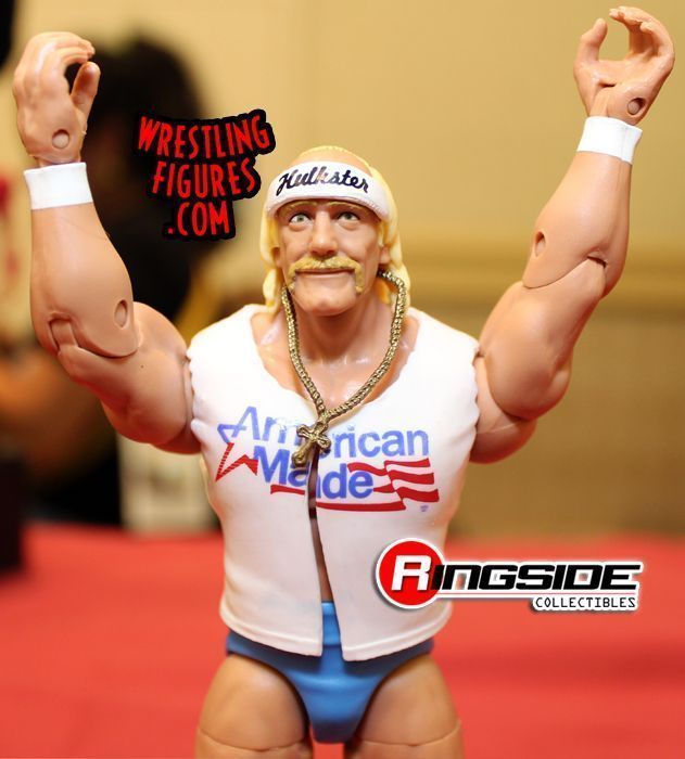 http://www.wrestlingfigureimages.com/SuperToyCon2015/supertoycon2015_005.jpg